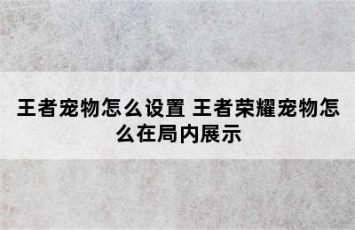 王者宠物怎么设置 王者荣耀宠物怎么在局内展示